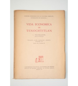Vida económica de Tenochtitlán