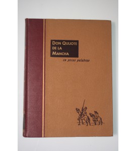 Don Quijote de la Mancha en pocas palabras