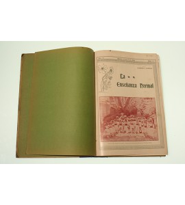 La enseñanza normal