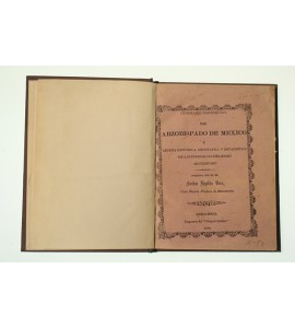 Itinerario Parroquial del Arzobispado de México y reseña histórica, geográfica y estadística de las parroquias del mismo arzobispado.
