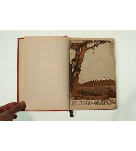 En el sendero de las mandragoras...