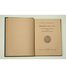 Influencia de la sal