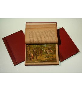 El Ingenioso Hidalgo Don Quijote de la Mancha