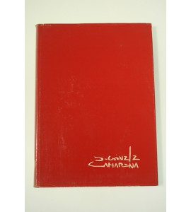 Jorge González Camarena en la Plástica Mexicana*