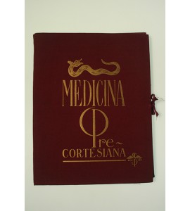 Medicina precortesiana