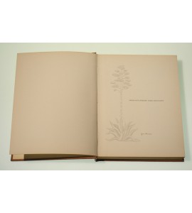 Mexican flowering trees and plants *