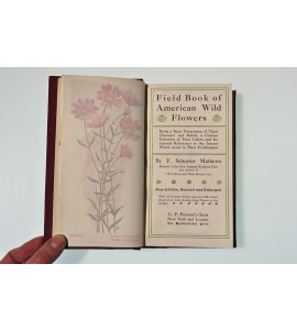 Field Book of American Wild Flowers