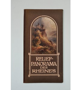 Relief-Panorama des Rheines