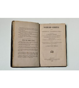 Vocabulario gramatical de la lengua castellana