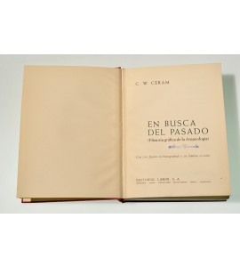 En busca del pasado (historia gráfica de la arqueología)