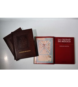 La Ciudad de México 1325-1982