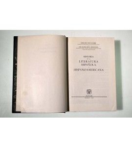 Historia de la literatura española e hispanoamericana