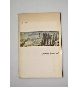 ¿Qué se hizo de el rey don Juan?