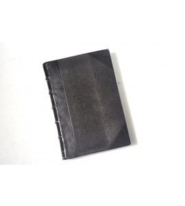 La raza cósmica. Misión de la raza iberoamericana