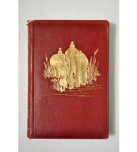 The two jungle books 