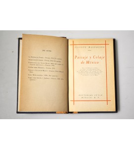 Paisaje y celaje de México