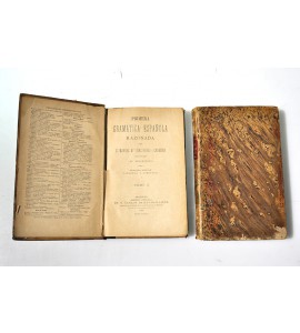 Primera gramática española razonada 