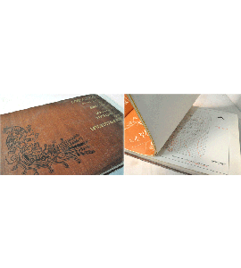 Memoria de las obras del Sistema de drenaje profundo del D.F. (IV)