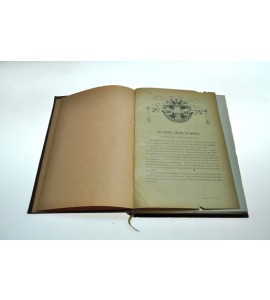 Un virrey limeño en México