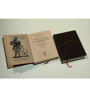 La novela del México Colonial*