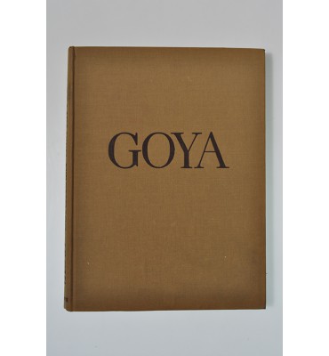 The complete etchings of Goya