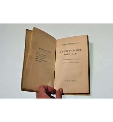 La Ciudad del Satillo