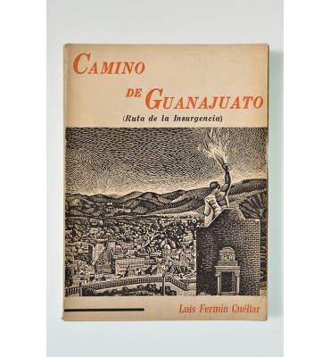 Camino de Guanajuato