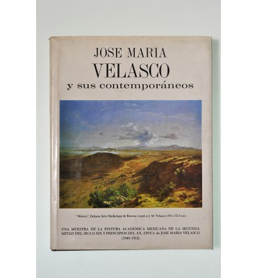 José María Velasco y sus contemporáneos