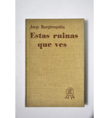 Estas ruinas que ves