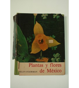 Plantas y flores de México *