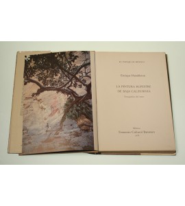 La pintura rupestre de Baja California