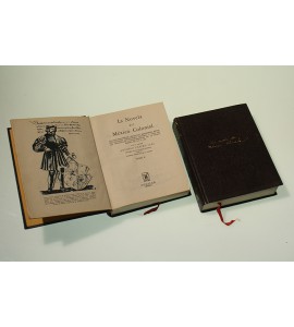 La novela del México Colonial*