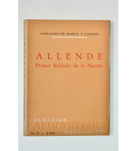 Allende. Primer soldado de la nación *
