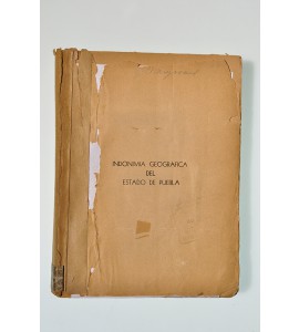 Indonimia geográfica del Estado de Puebla