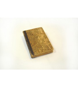 Un viajero de diez años