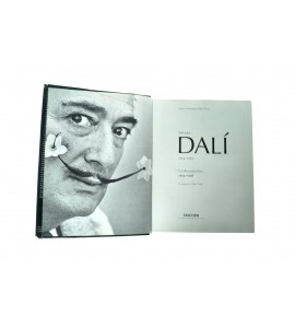 Dalí, la obra pictórica *